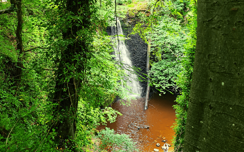 Falling Foss – An enchanting walk for all the family with fabulous food to boot!