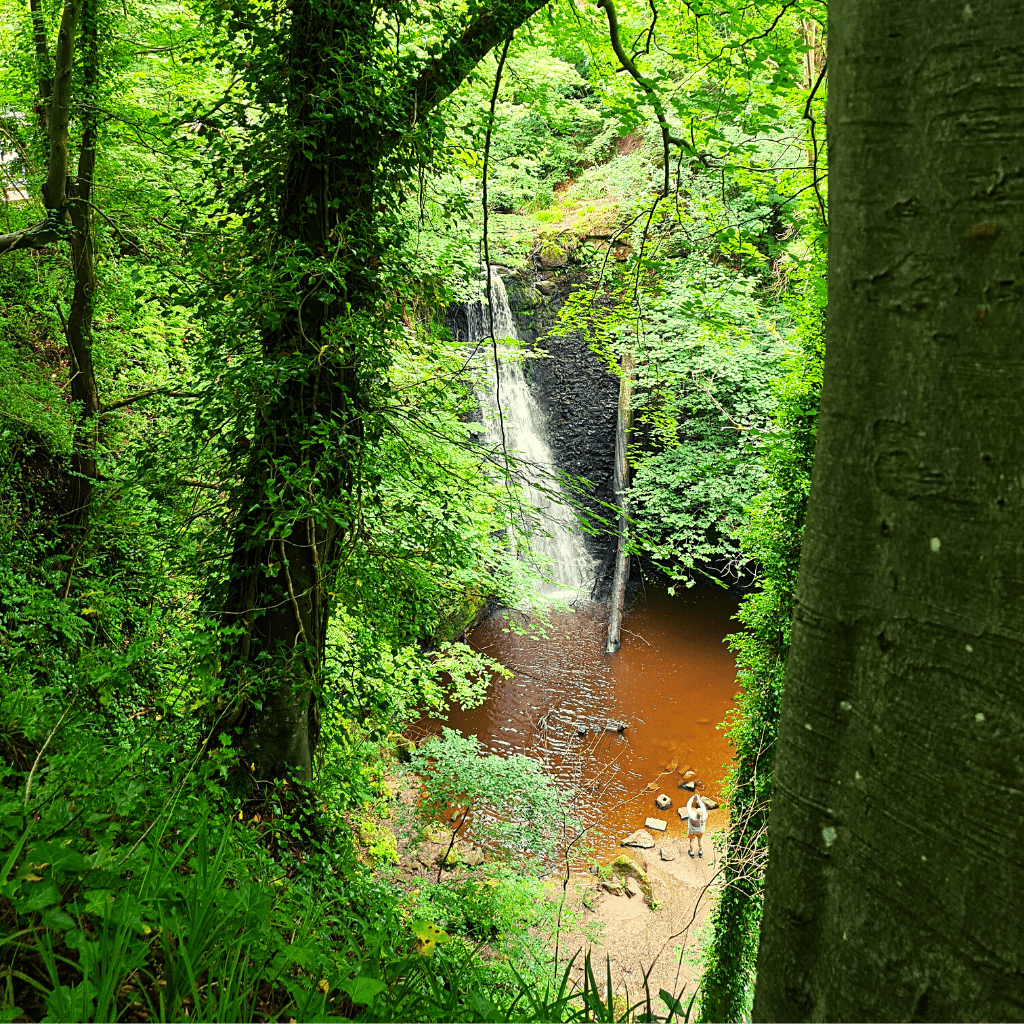 Falling Foss – An enchanting walk for all the family with fabulous food to boot!